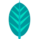 naturaleza icon