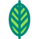 naturaleza icon