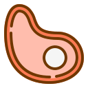 Meat 