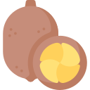 cupuassu icon