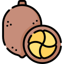 cupuassu icon