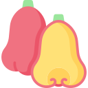 왁스 사과 icon