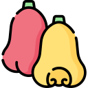 manzana de cera icon