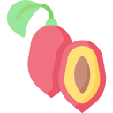 fruta milagrosa icon