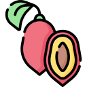 fruta milagrosa icon