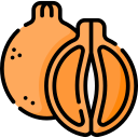 mandarina icon