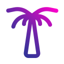 palmera icon