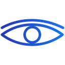 ojo icon