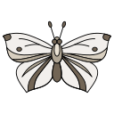 mariposa