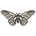 mariposa