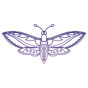 mariposa icon