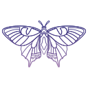 mariposa icon