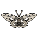 mariposa