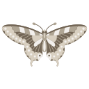 mariposa