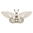 mariposa