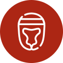 casco icon