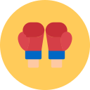 guantes de boxeo icon