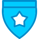 insignia