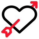 seta icon