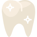 molar 