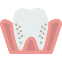 molar icon