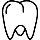 molar 