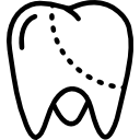 molar 