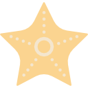 estrella de mar 