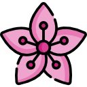 sakura icon