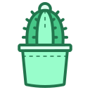 maceta de cactus icon