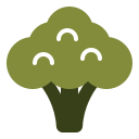 Цветная капуста 