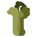 céleri 