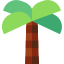 palmera icon