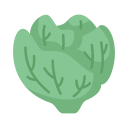 Food icon