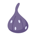 Fruit icon
