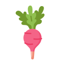 Food icon