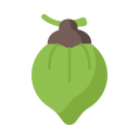 Fruit icon