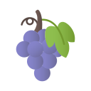 fruta icon