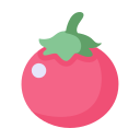 Fruit icon