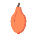 Fruit icon
