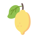 Fruit icon
