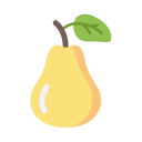 Fruit icon