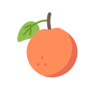 Fruit icon
