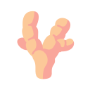 Food icon