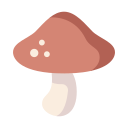 Food icon