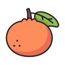 fruta icon