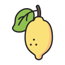 fruta icon