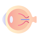 ojo icon