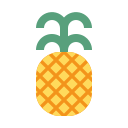 fruta icon