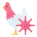 pollo icon